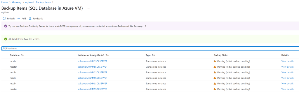 Picture illustrating Backup Items